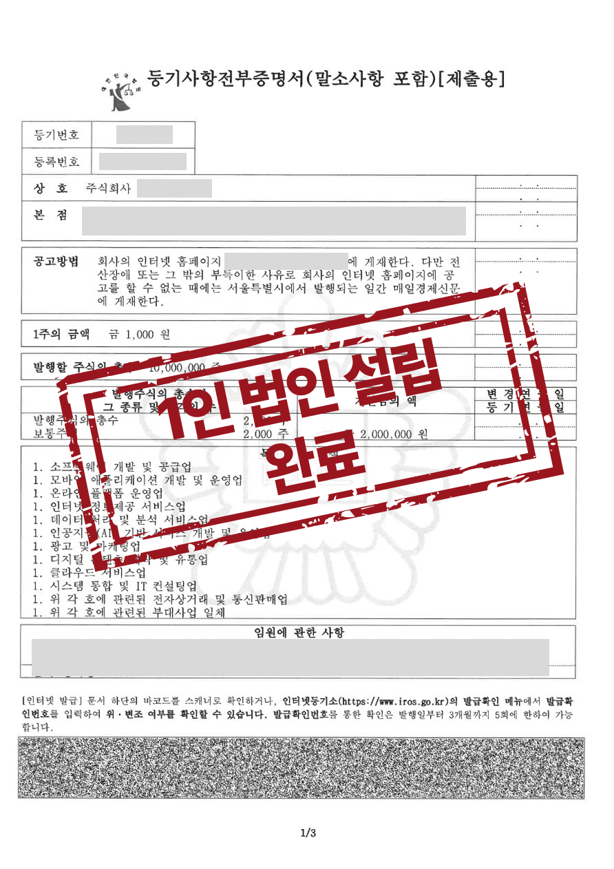 1인 소프트웨어 주식회사 설립 완료