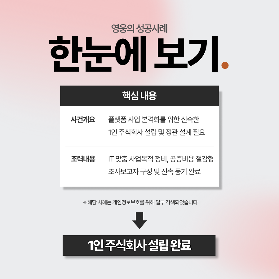 1인 법인 설립, 소프트웨어 주식회사 설립등기 완료